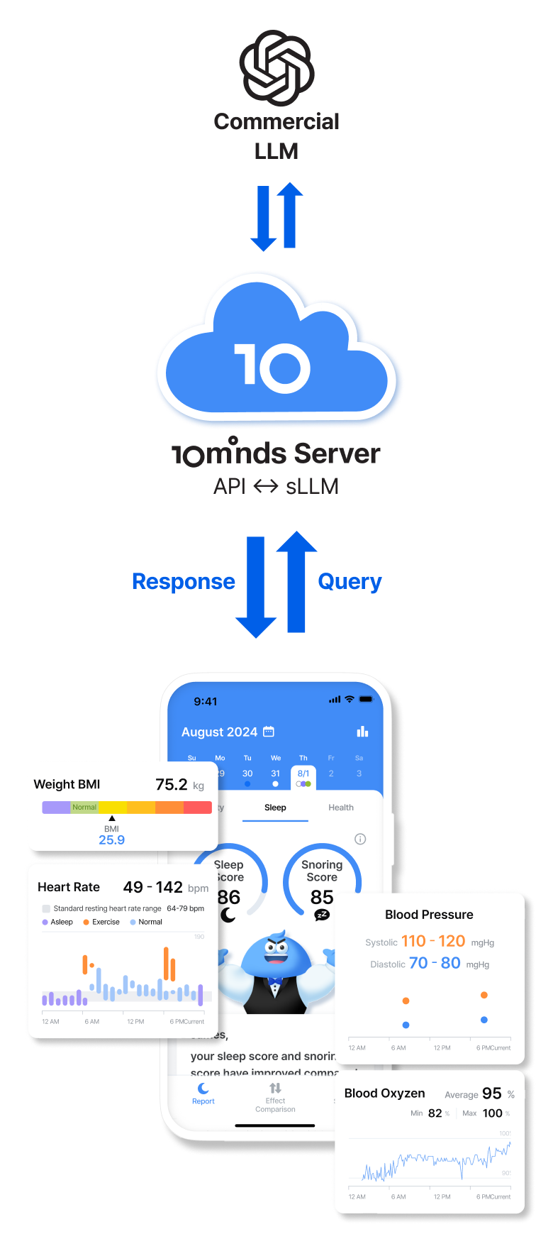 Commercial LLM - 10minds Server - App : response and query